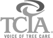Time to Schedule a Tree Risk Assessment (TRA