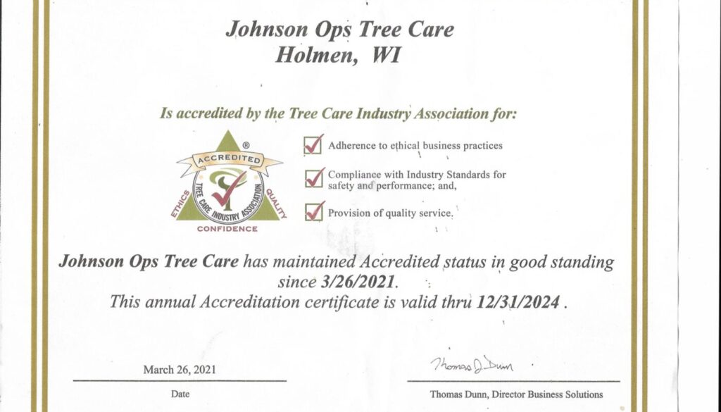What is a Certified Arborist and Why Should I Hire One?