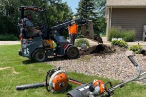 Should an Arborist be planting your trees?