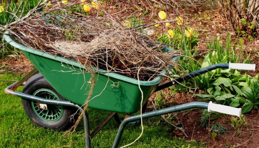 Essential Spring Gardening Tips Johnson-ops-tree-care