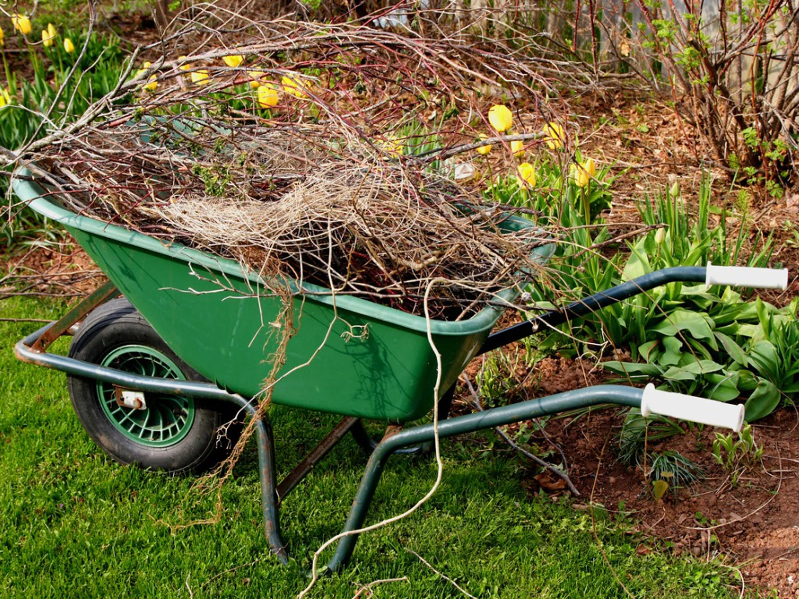 Essential Spring Gardening Tips | Johnson Ops Tree Care