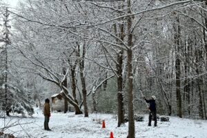 snow work Johnson-ops-tree-care Holmen wi