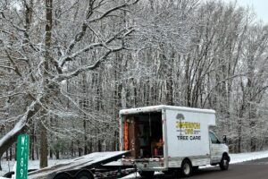 Buyer Beware When Purchasing Tree Care Johnson-ops-tree-care