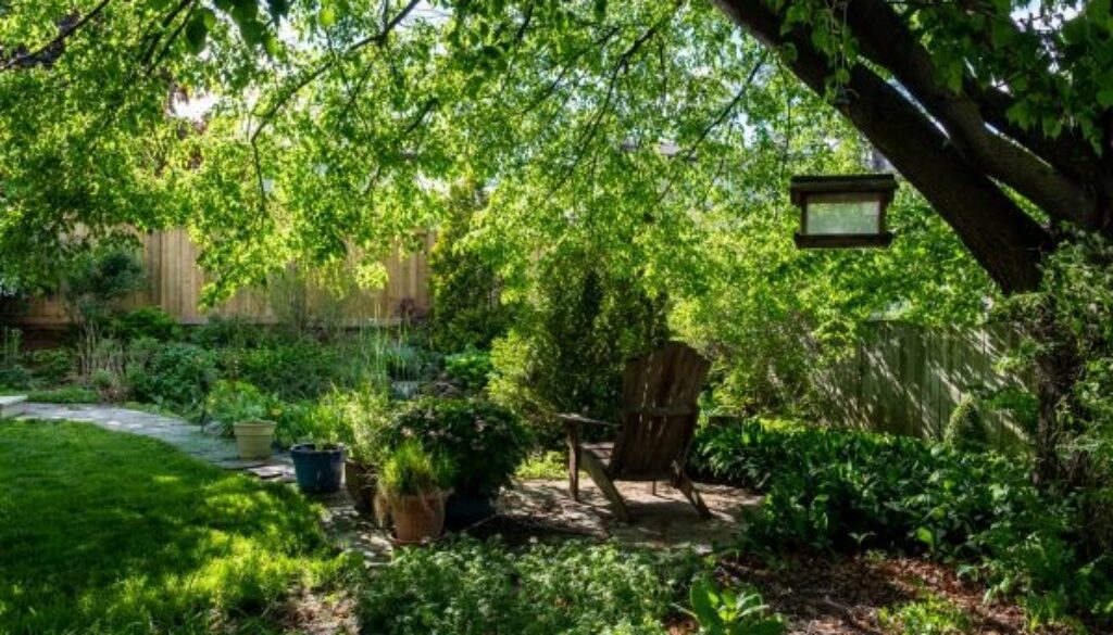 A backyard oasis is created through careful planning and the selection of the best trees to meet your needs