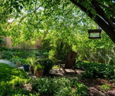 A backyard oasis is created through careful planning and the selection of the best trees to meet your needs
