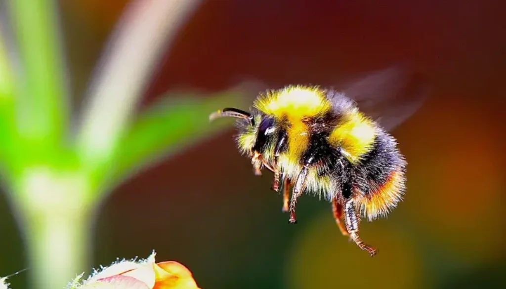 bumble-bee-friendly trees and shrubs