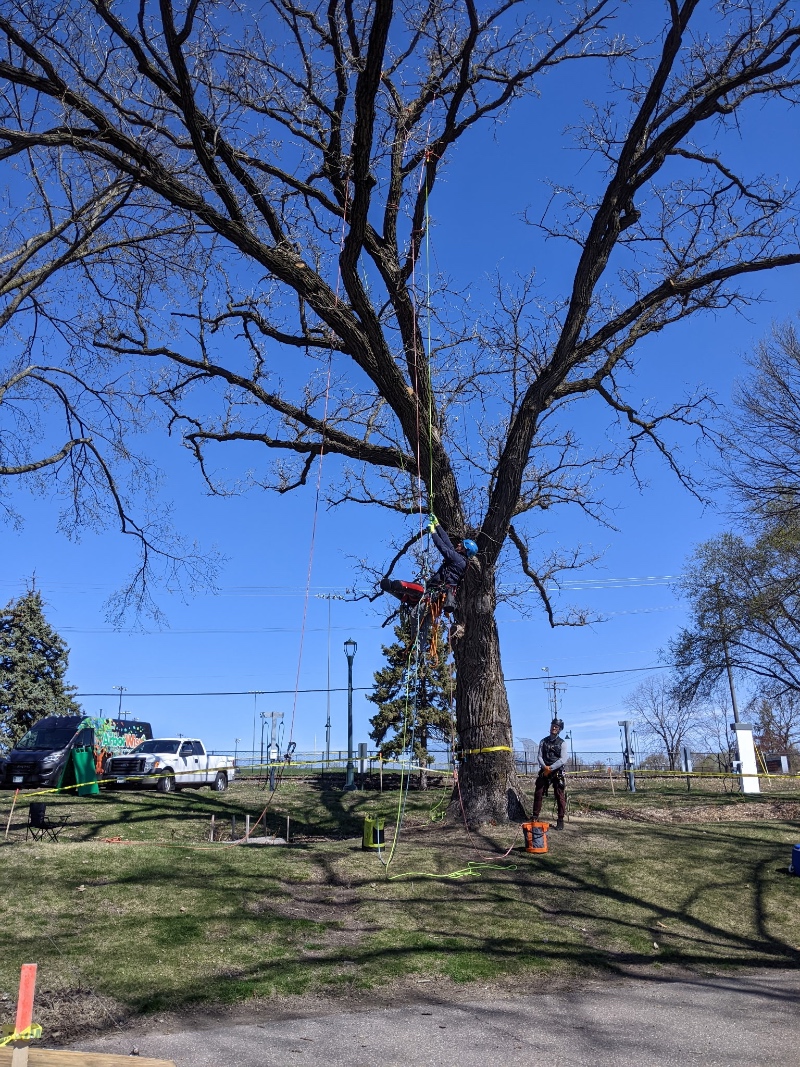 Contact & Get a Quote at Johnson Ops Tree Care in Holmen, WI