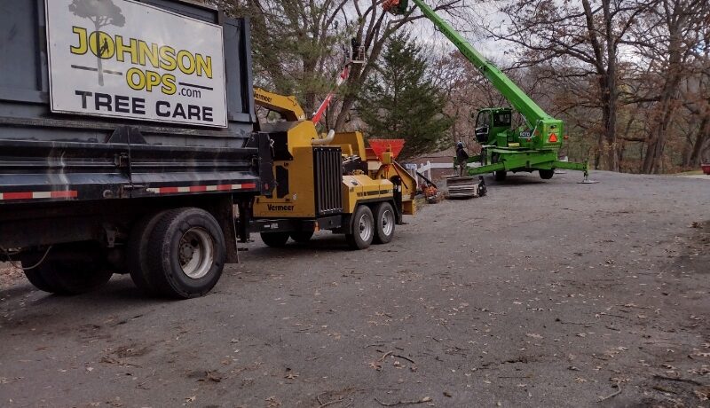 A Day in the Life of a Tree Care Professional Johnson-ops-tree-care
