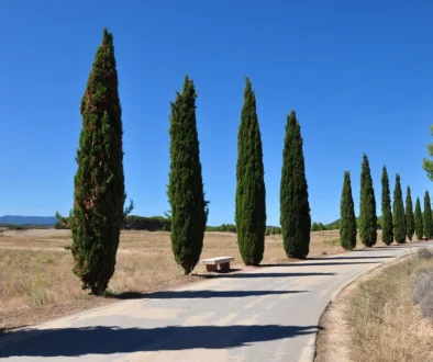 What is a columnar tree
