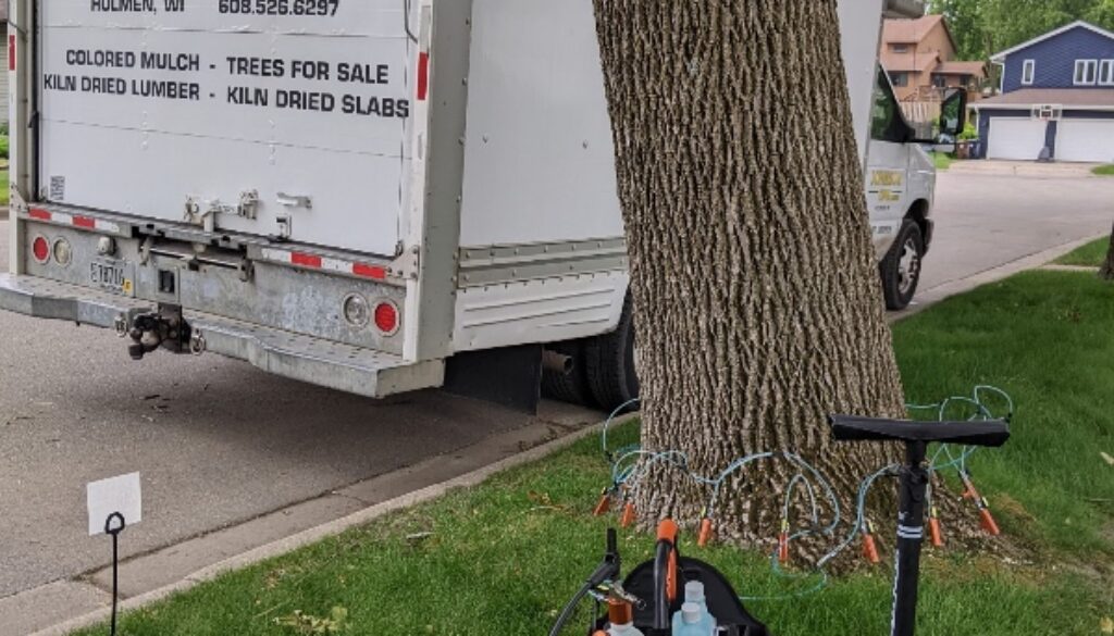 Tree Health Assessment Johnson-ops-tree-care