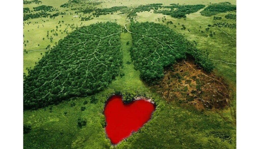 Lungs of the Earth