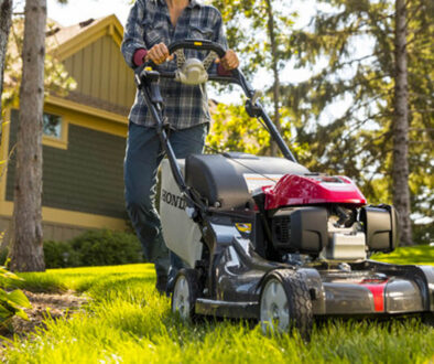 Are your Lawn Mowing Practices Damaging your Trees?