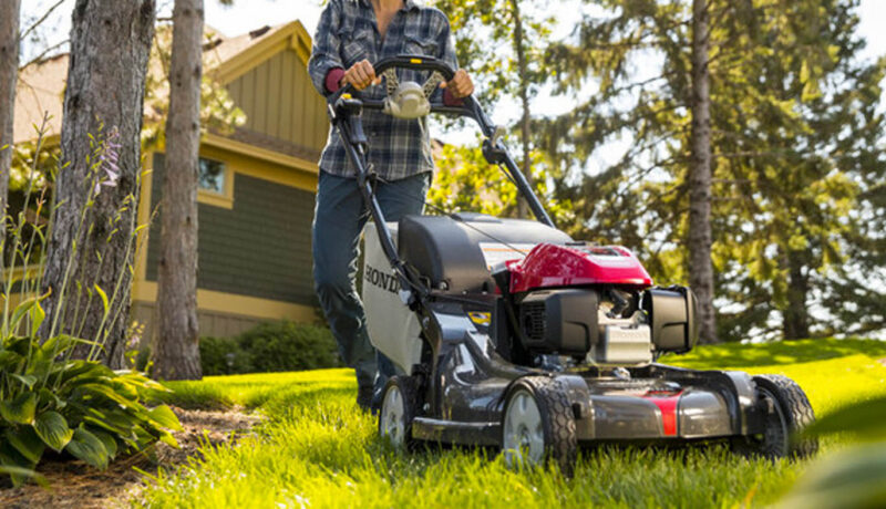 Are your Lawn Mowing Practices Damaging your Trees?