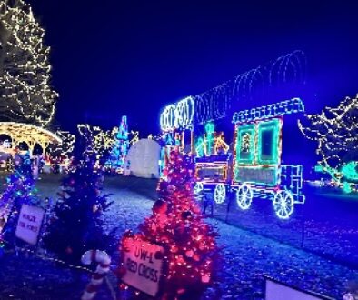 Year-Round Tree Lights: What You Should Know. Holiday lights bring warmth, charm, and a magical glow to your yard during the winter season