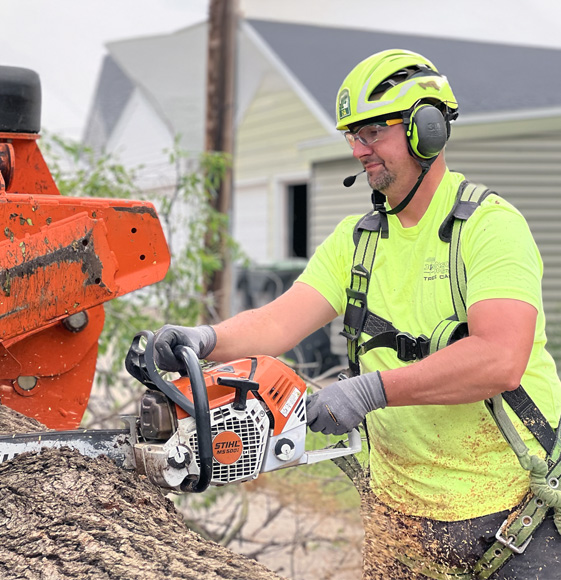 How to Find the Right Arborist How to Find the Right Arborist