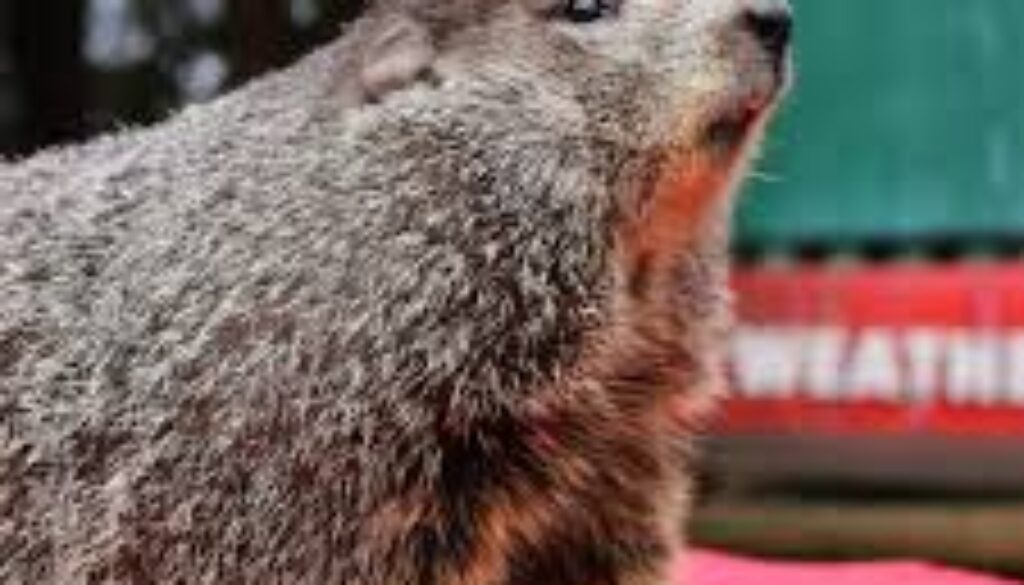 Looks Like Phil Was Right