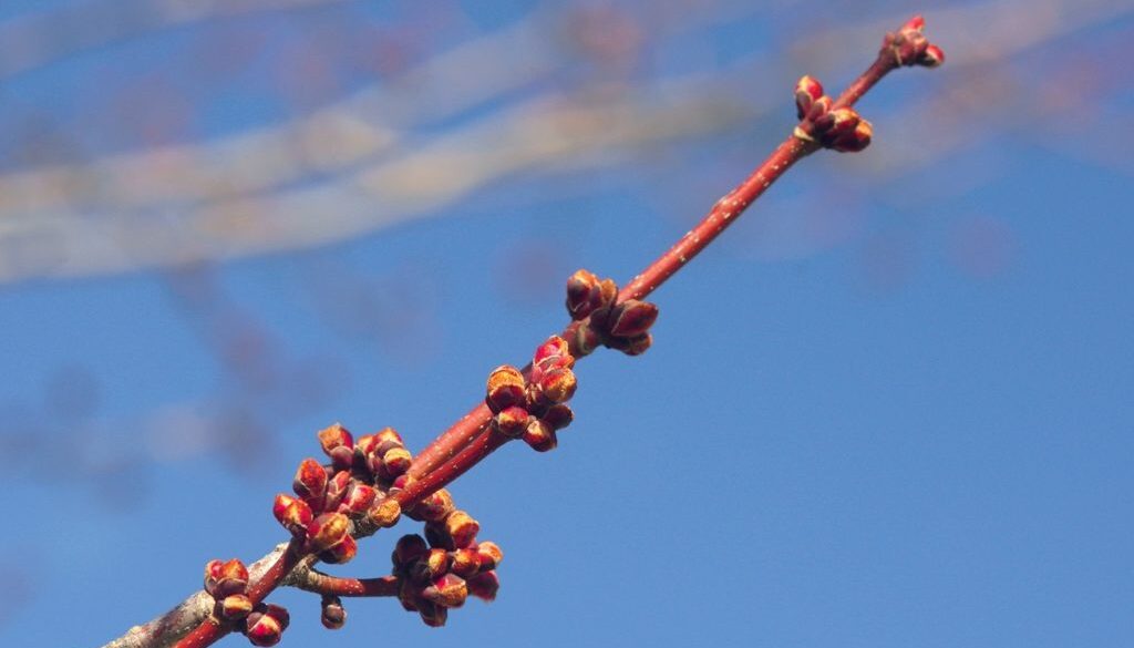 Spring Brings the Outdoors to Life