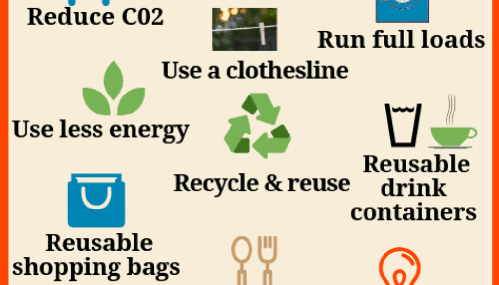 Everyday Sustainable Living Tips