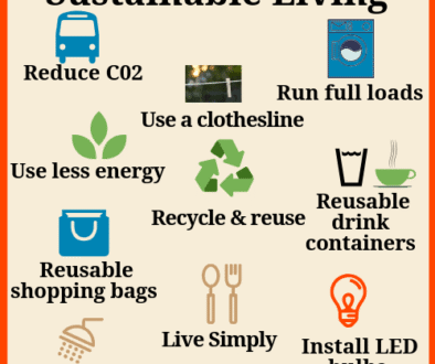 Everyday Sustainable Living Tips