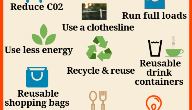 Everyday Sustainable Living Tips
